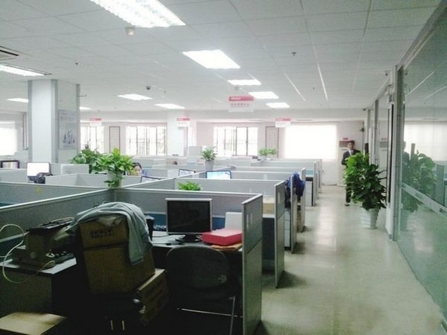 杭州植物蛋白固体饮料